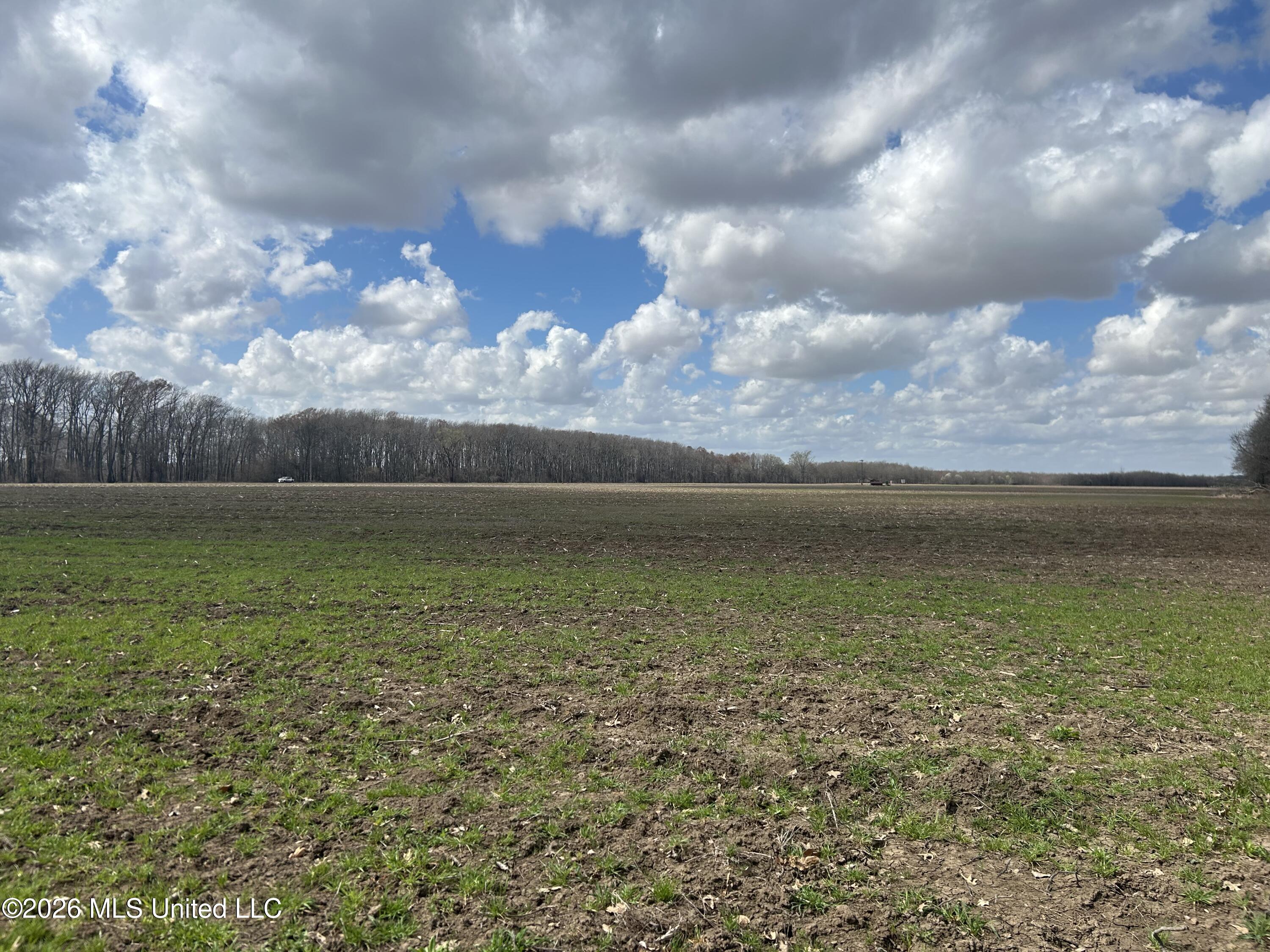 Airport Road Marks, MS 38646 - Photo 21 of 46 Photo Mar 06 2026, 12 16 18 PM