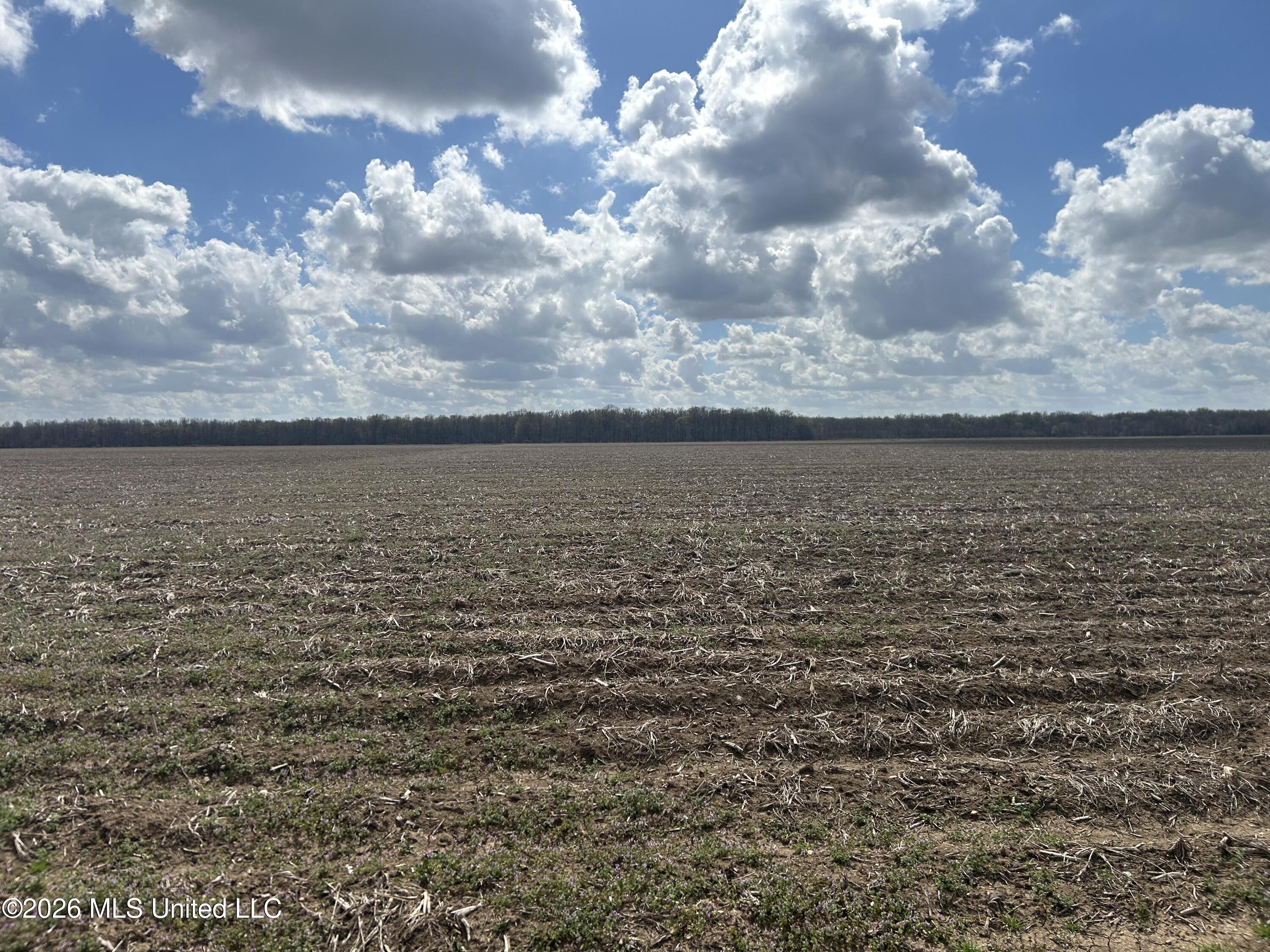 Airport Road Marks, MS 38646 - Photo 25 of 46 Photo Mar 06 2026, 12 27 29 PM