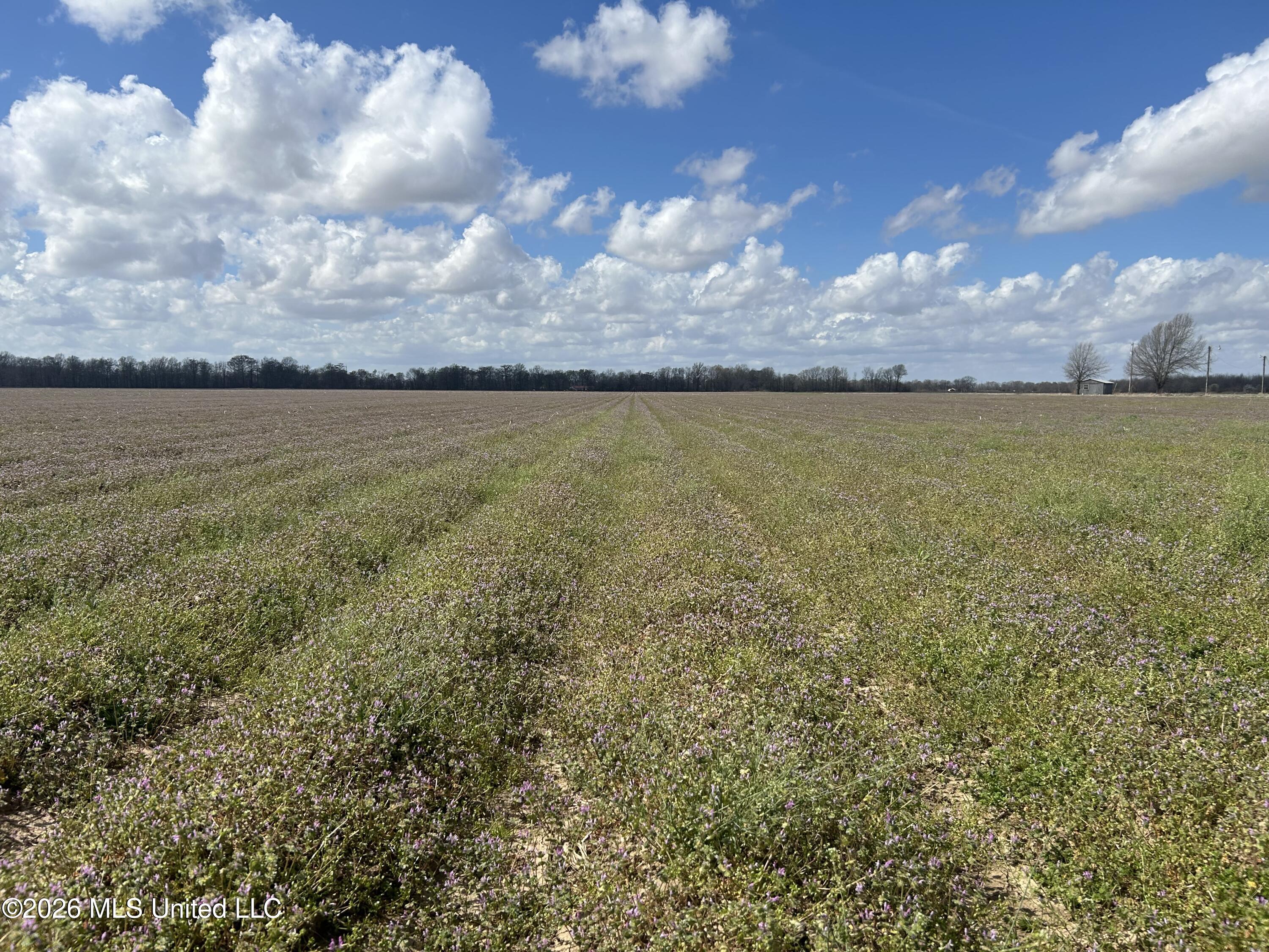 Airport Road Marks, MS 38646 - Photo 4 of 46 Photo Mar 06 2026, 12 01 07 PM