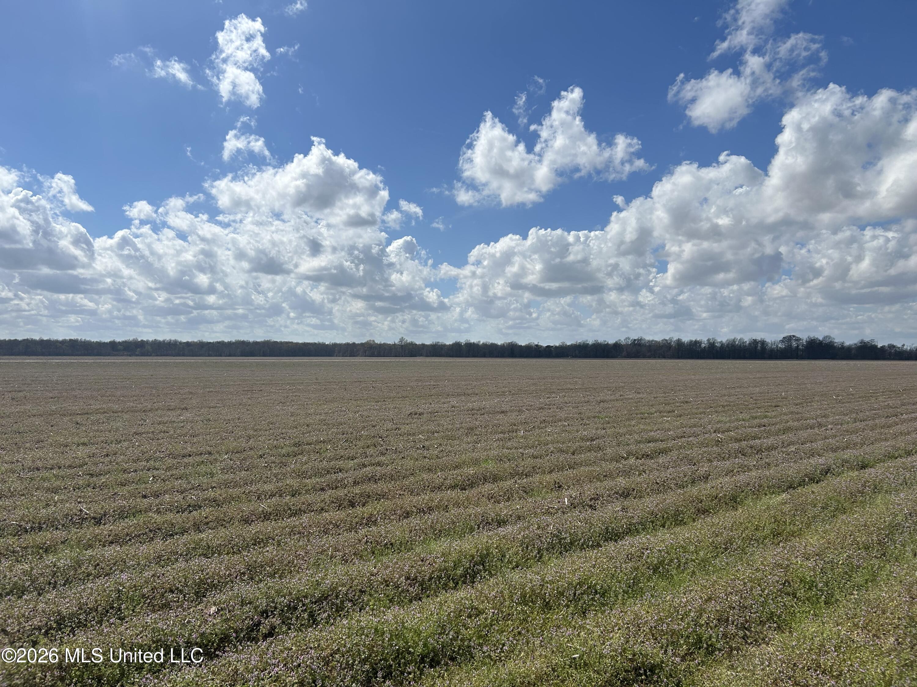 Airport Road Marks, MS 38646 - Photo 5 of 46 Photo Mar 06 2026, 12 01 09 PM