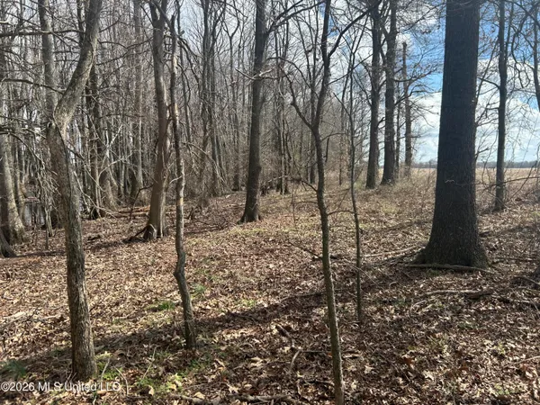 $1,760,000 | Airport Road, Marks, MS 38646