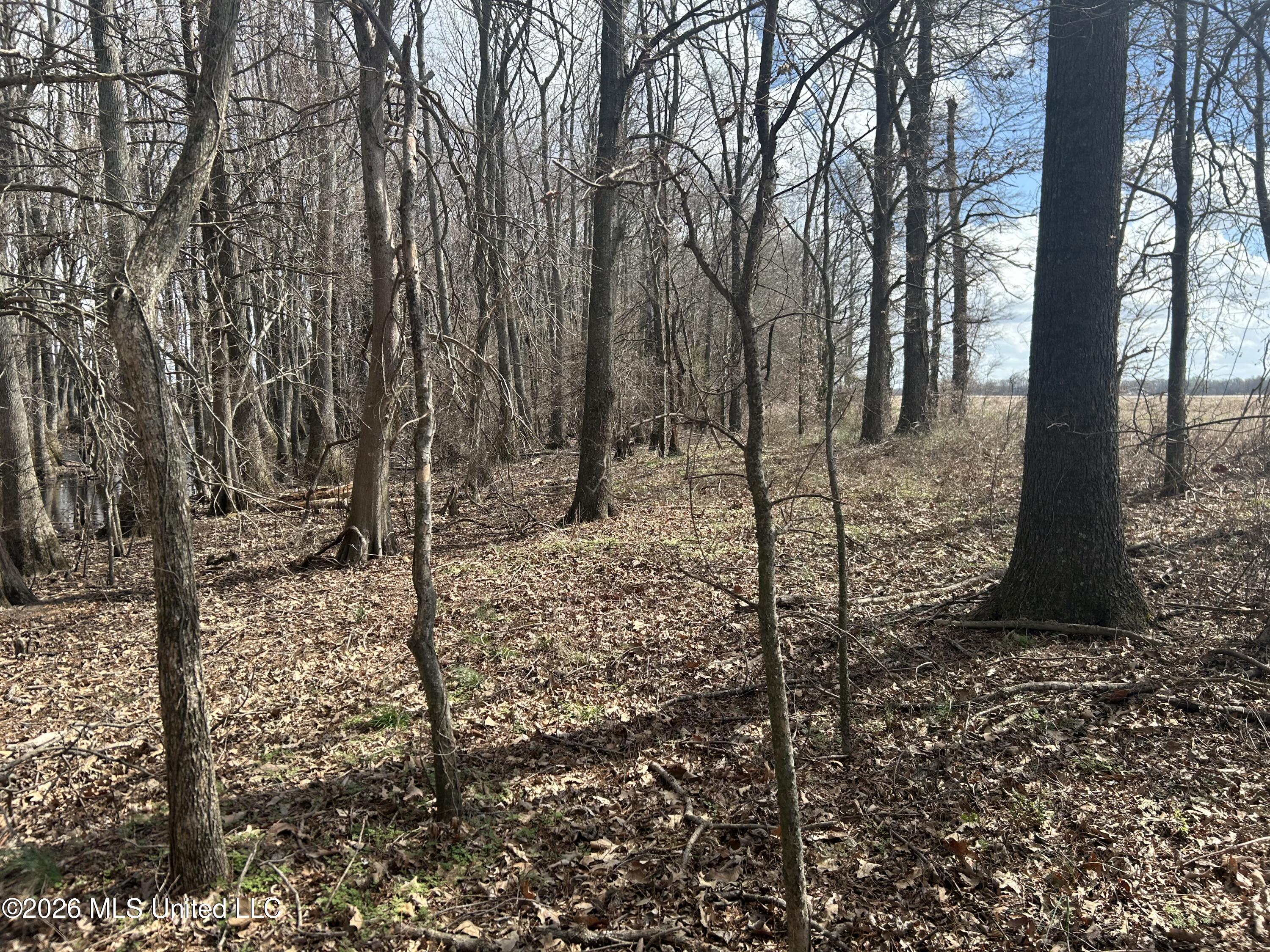 Airport Road Marks, MS 38646 - Photo 7 of 46 Photo Mar 06 2026, 12 01 55 PM