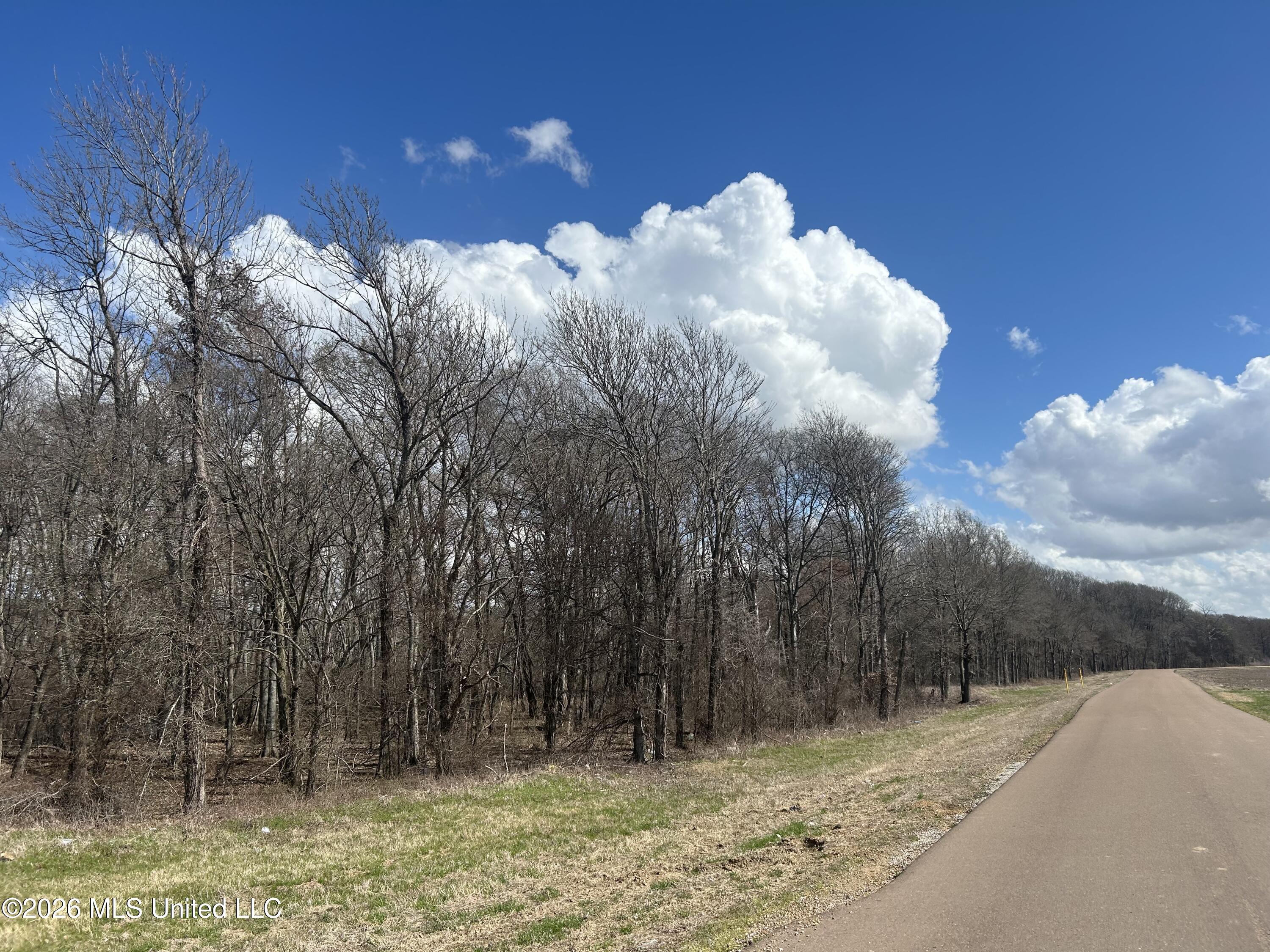 Airport Road Marks, MS 38646 - Photo 9 of 46 Photo Mar 06 2026, 12 05 43 PM