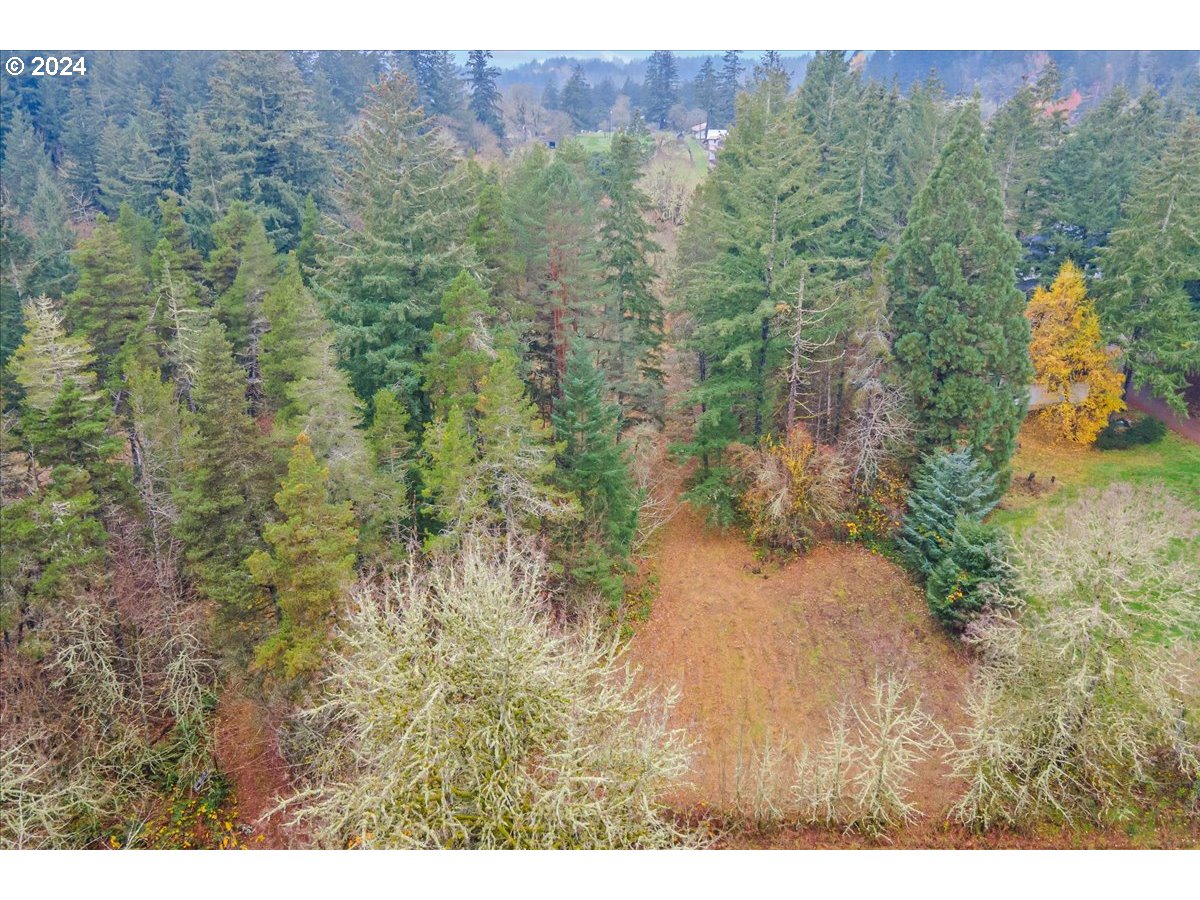 Northwest Plainview Road Portland, OR 97231 - Photo 12 of 37 a view of a forest with a yard