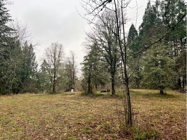Northwest Plainview Road Portland, OR 97231 - Photo 18 of 37 a view of outdoor space with trees