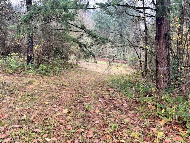 Northwest Plainview Road Portland, OR 97231 - Photo 21 of 37 a view of yard with green space