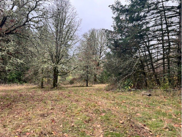 Northwest Plainview Road Portland, OR 97231 - Photo 25 of 37 a backyard of a house with large trees