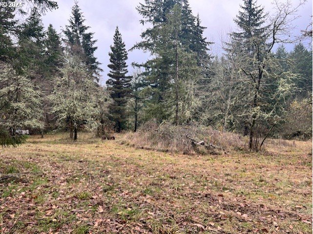 Northwest Plainview Road Portland, OR 97231 - Photo 26 of 37 a view of a yard with a tree