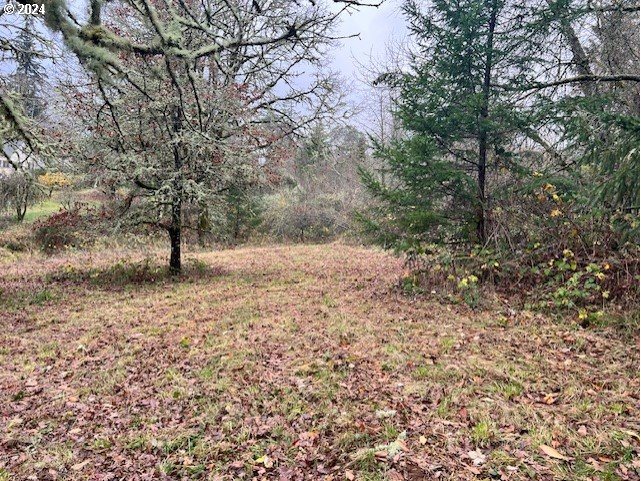 Northwest Plainview Road Portland, OR 97231 - Photo 28 of 37 a view of a yard with a tree