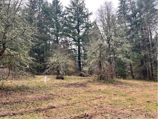 Northwest Plainview Road Portland, OR 97231 - Photo 33 of 37 a fire hydrant in the middle of a field
