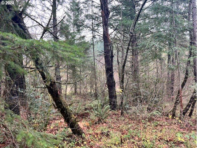 Northwest Plainview Road Portland, OR 97231 - Photo 34 of 37 a backyard of a house with lots of green space
