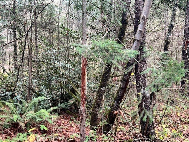 Northwest Plainview Road Portland, OR 97231 - Photo 35 of 37 a view of bushes