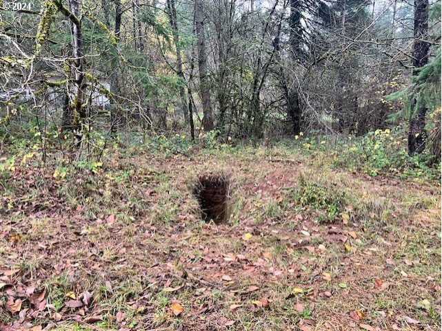 Northwest Plainview Road Portland, OR 97231 - Photo 37 of 37