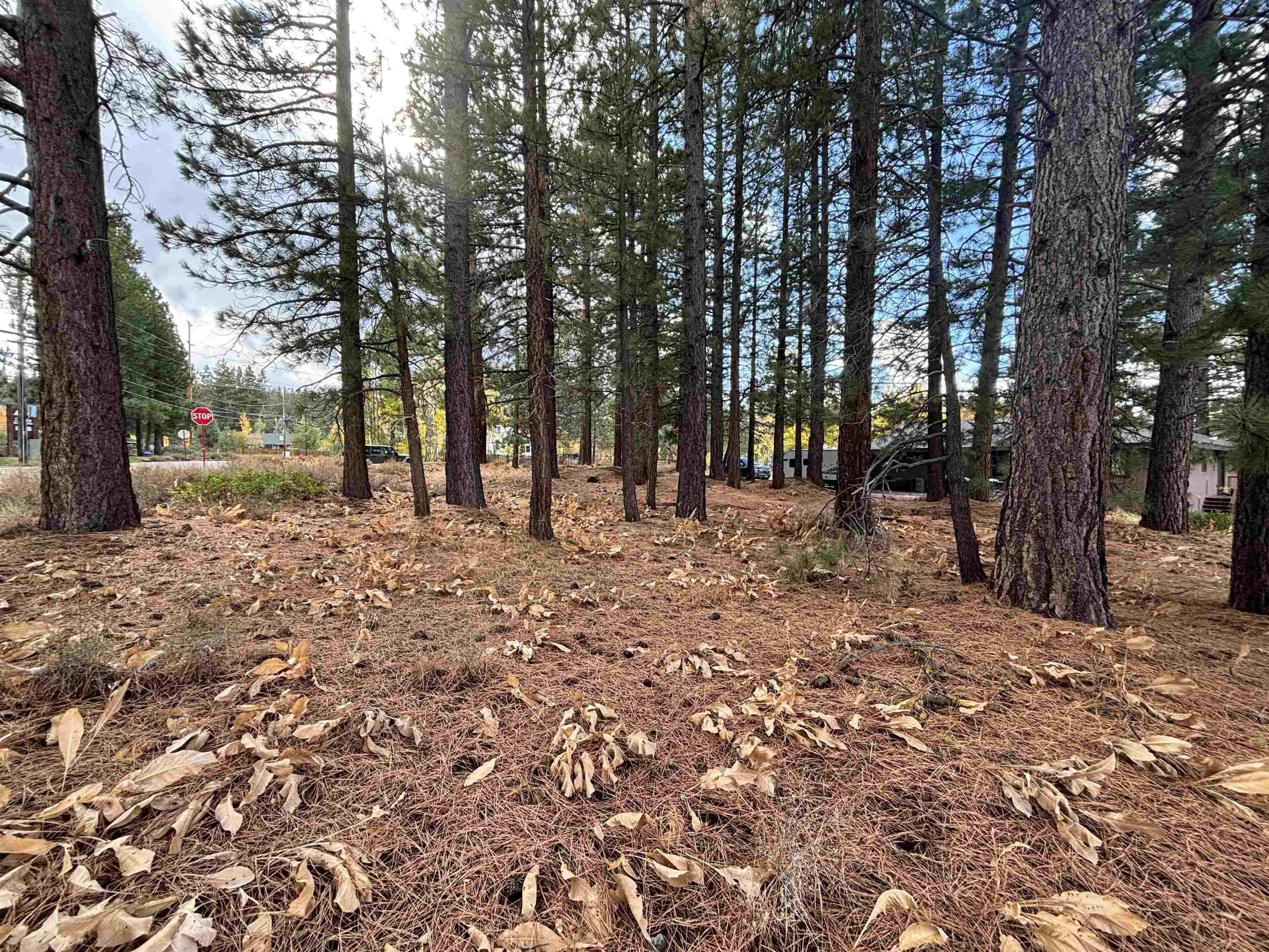 10294 Sugar Pine Road Truckee, CA 96161 - Photo 3 of 7 Gallery Image 3