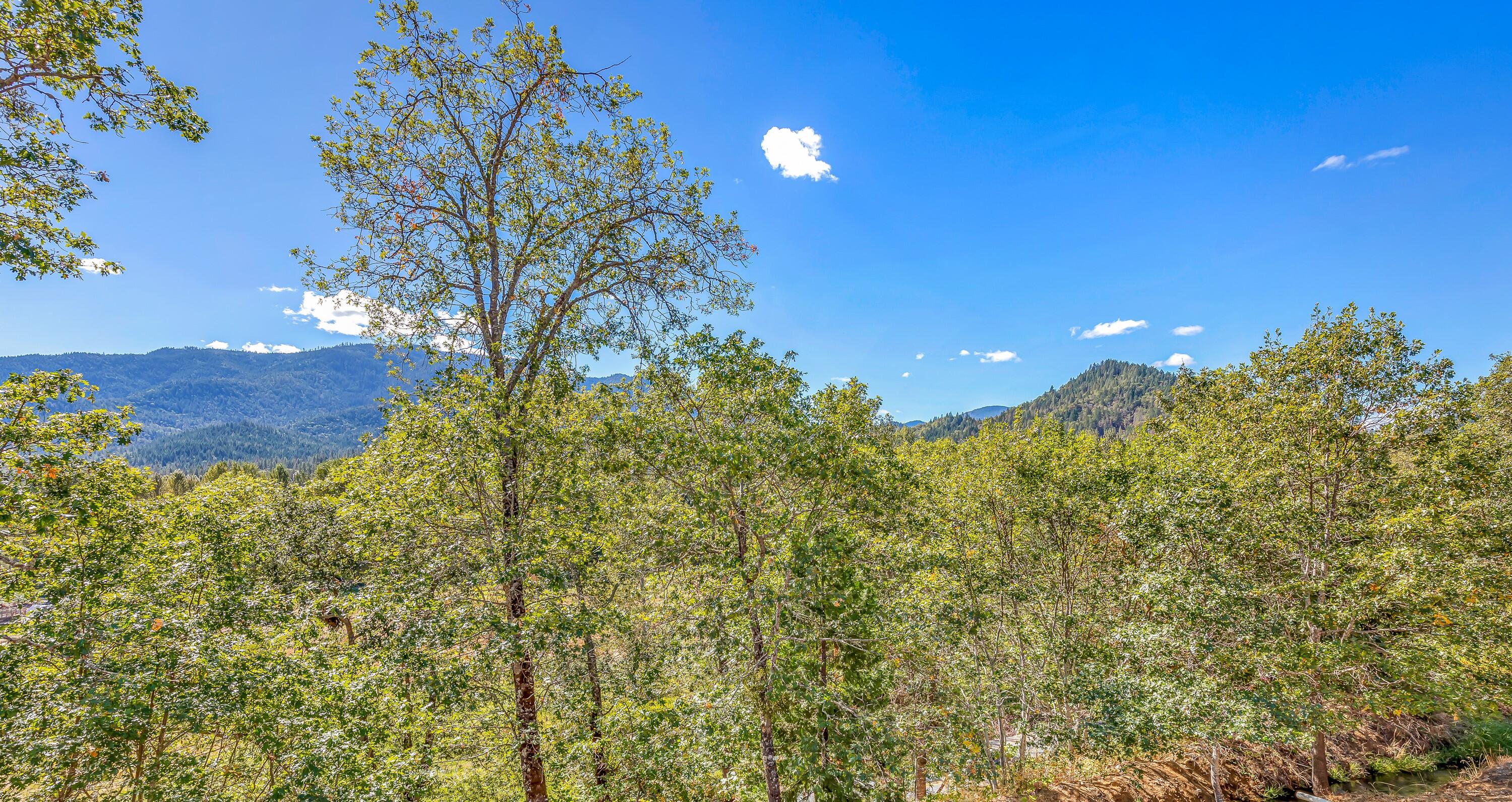 9552 North Applegate Road Grants Pass, OR 97527 - Photo 29 of 32 9R9A7378