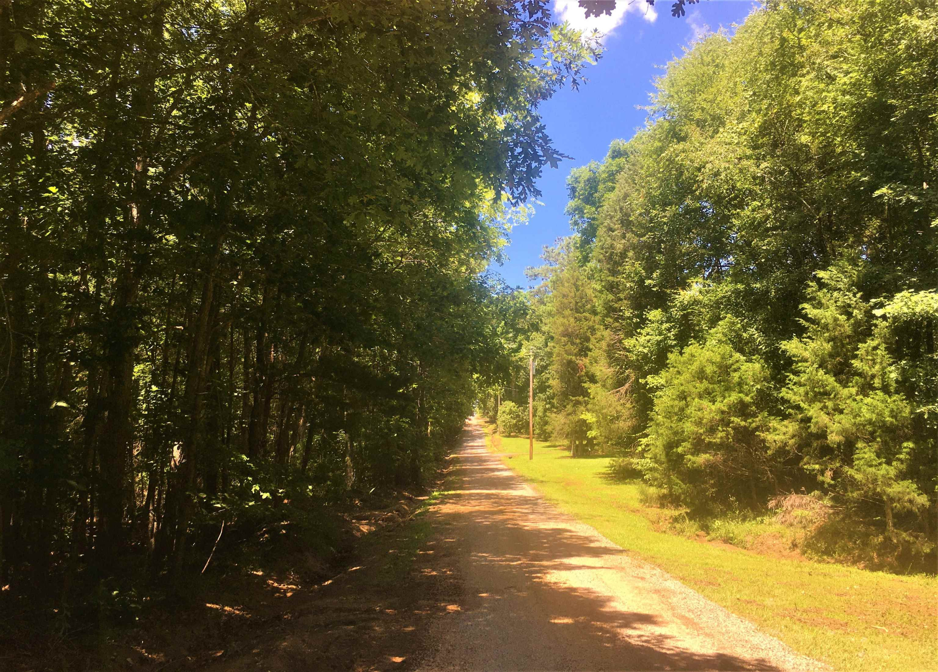 Tbd Mt View Church Road Moncure, NC 27559 - Photo 4 of 10 Photo 4