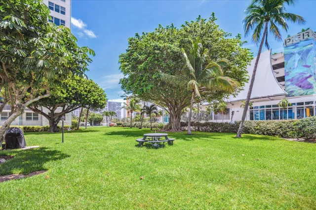a garden with palm trees