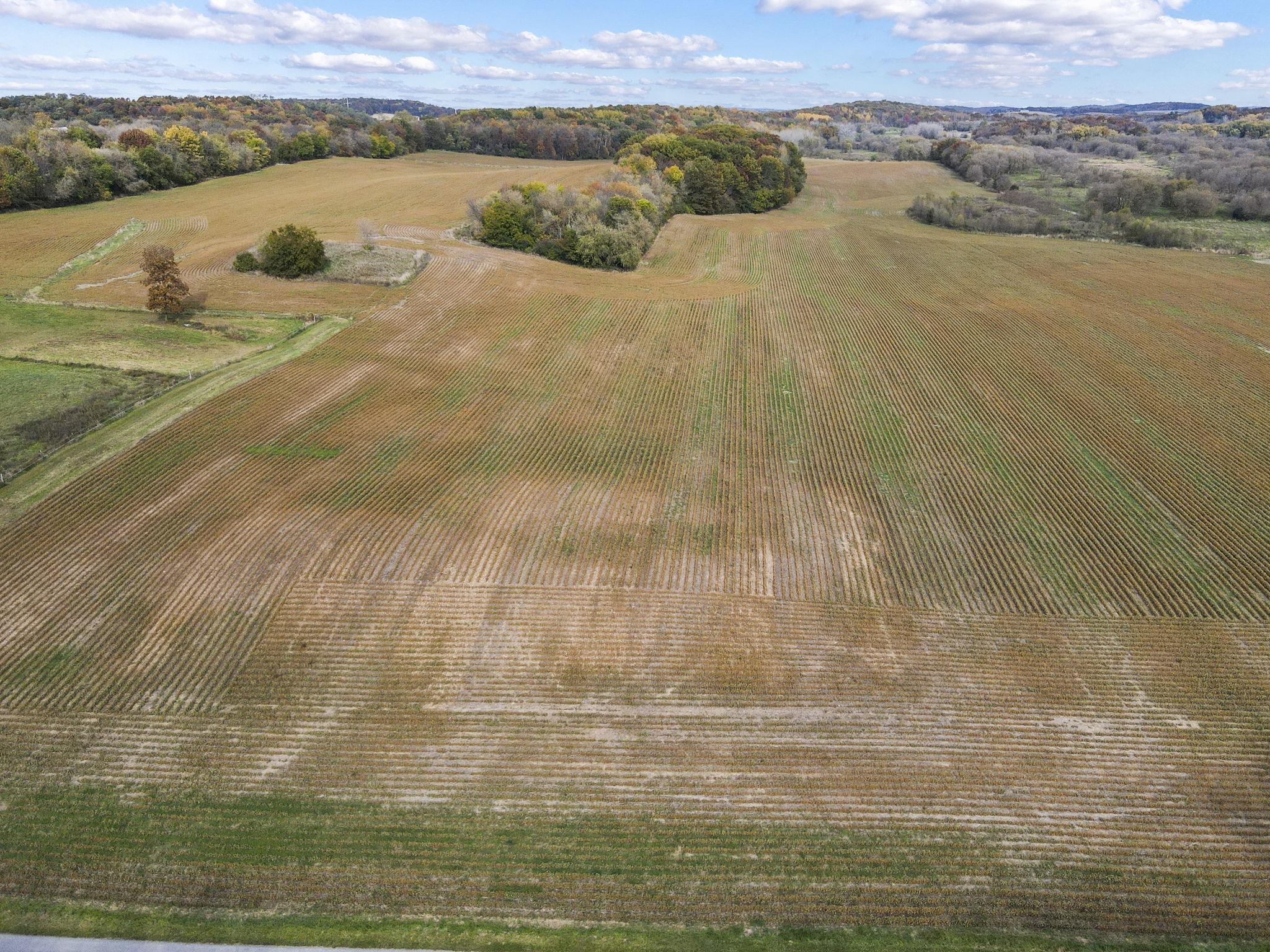 116-acres East Medina Road Marshall, WI 53559 - Photo 4 of 32 Gallery Image 4