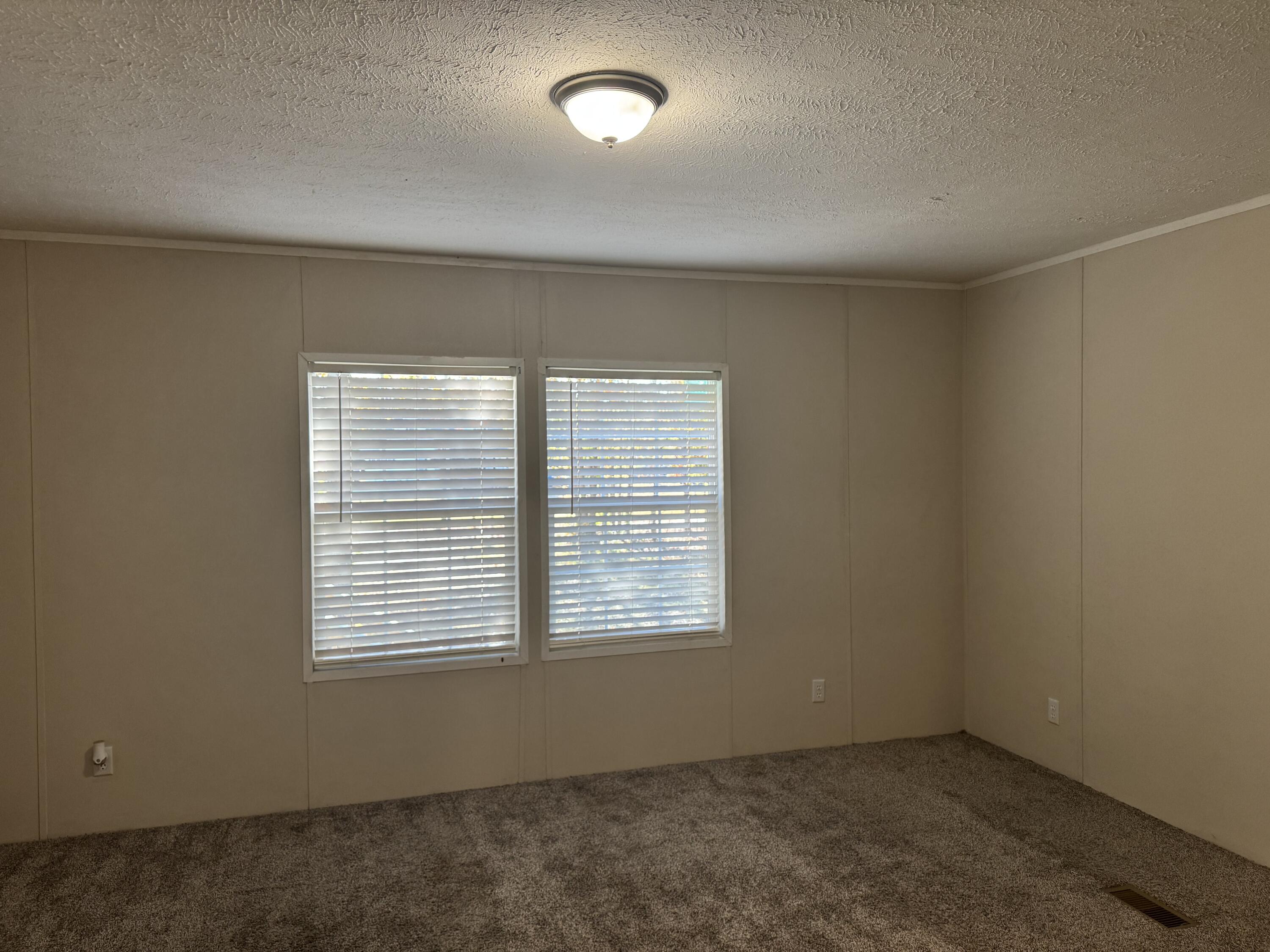 201 Creek Road Reevesville, SC 29471 - Photo 20 of 26 IMG_1933