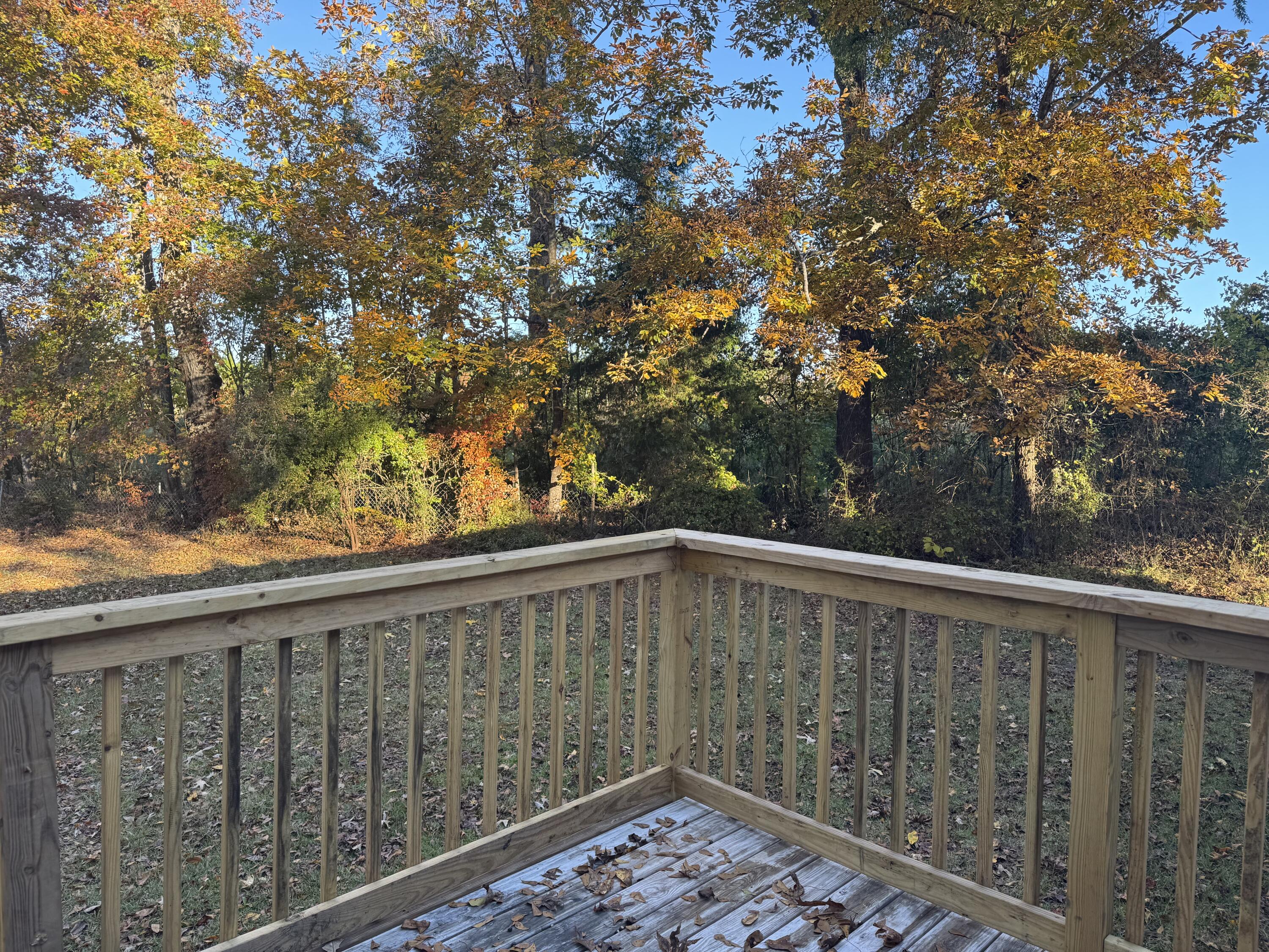 201 Creek Road Reevesville, SC 29471 - Photo 9 of 26 IMG_1919