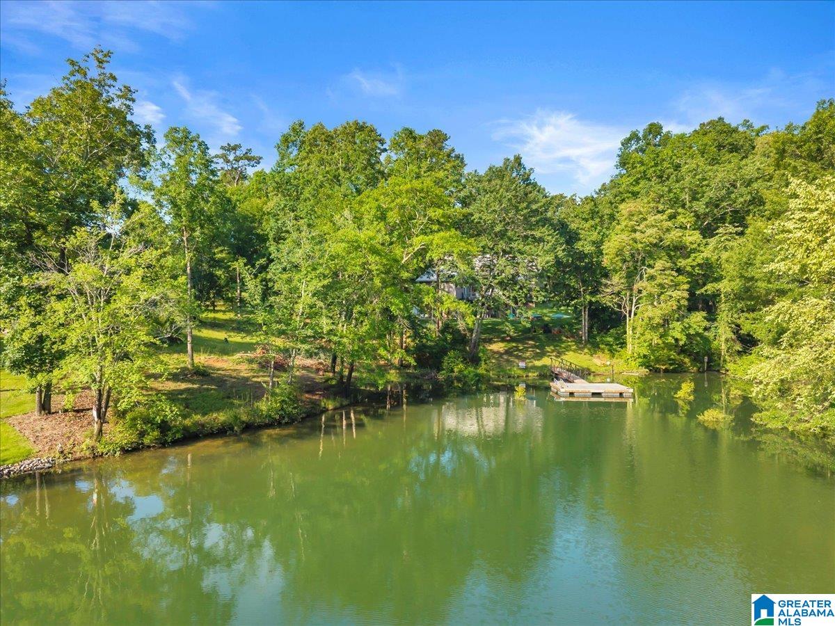 Long Point Road, Unit 58 Double Springs, AL 35553 - Photo 2 of 29