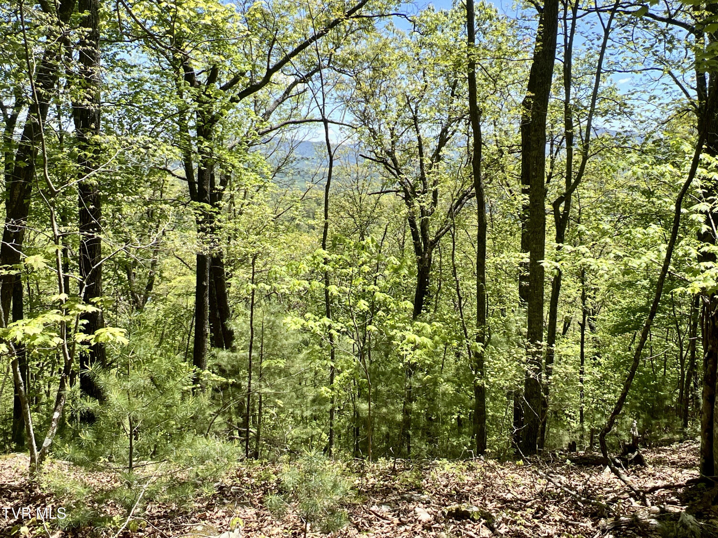 77-ac Sink Valley Road Butler, TN 37640 - Photo 29 of 43 _Pic30 (4)