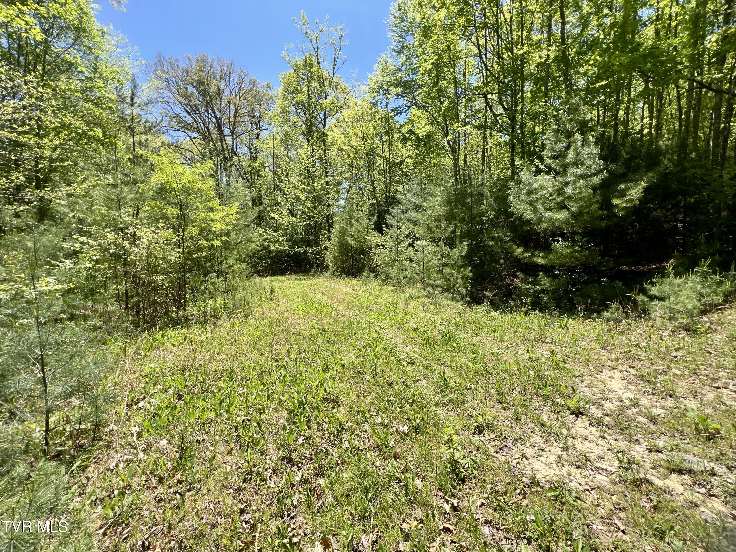 77-ac Sink Valley Road Butler, TN 37640 - Photo 32 of 43 _Pic33 (4)