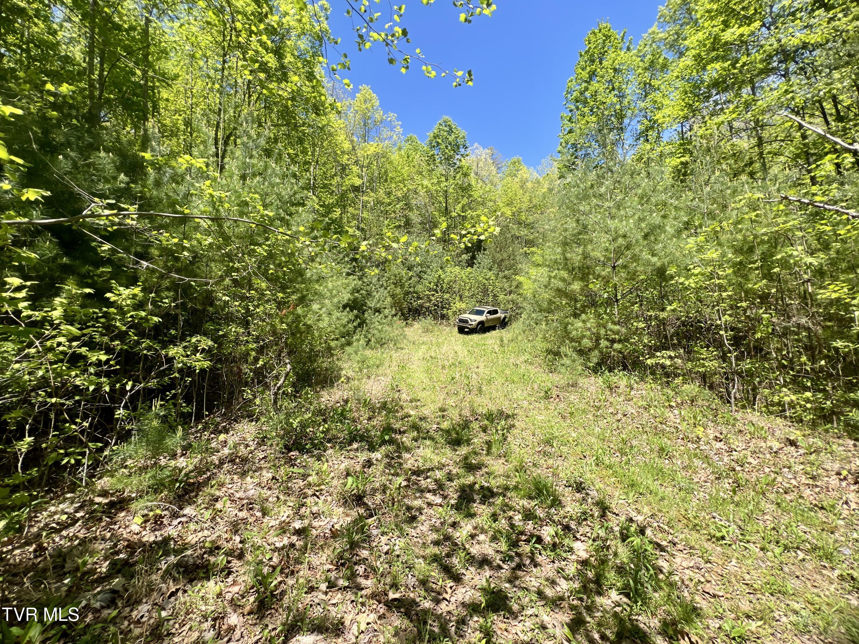 77-ac Sink Valley Road Butler, TN 37640 - Photo 35 of 43 _Pic36 (4)