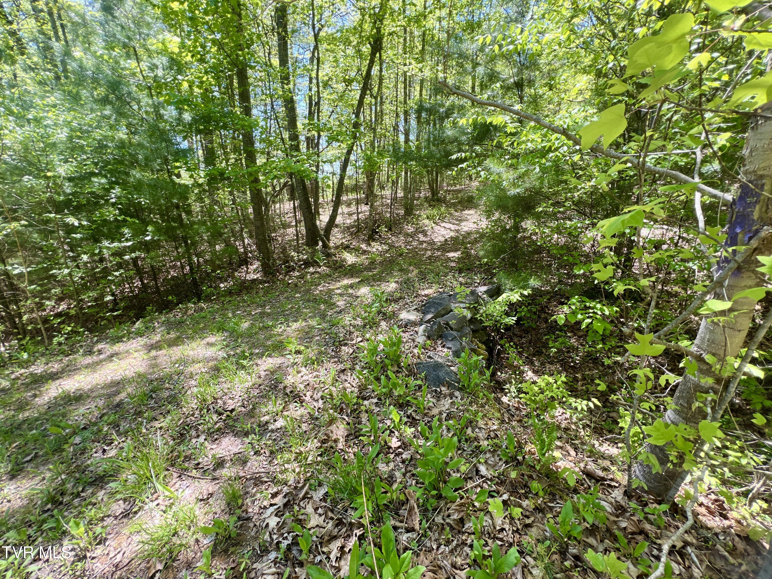 77-ac Sink Valley Road Butler, TN 37640 - Photo 36 of 43 _Pic37 (4)