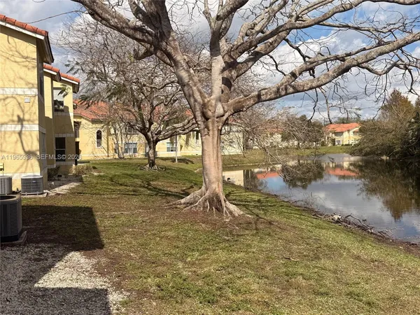 a view of a yard with a tree
