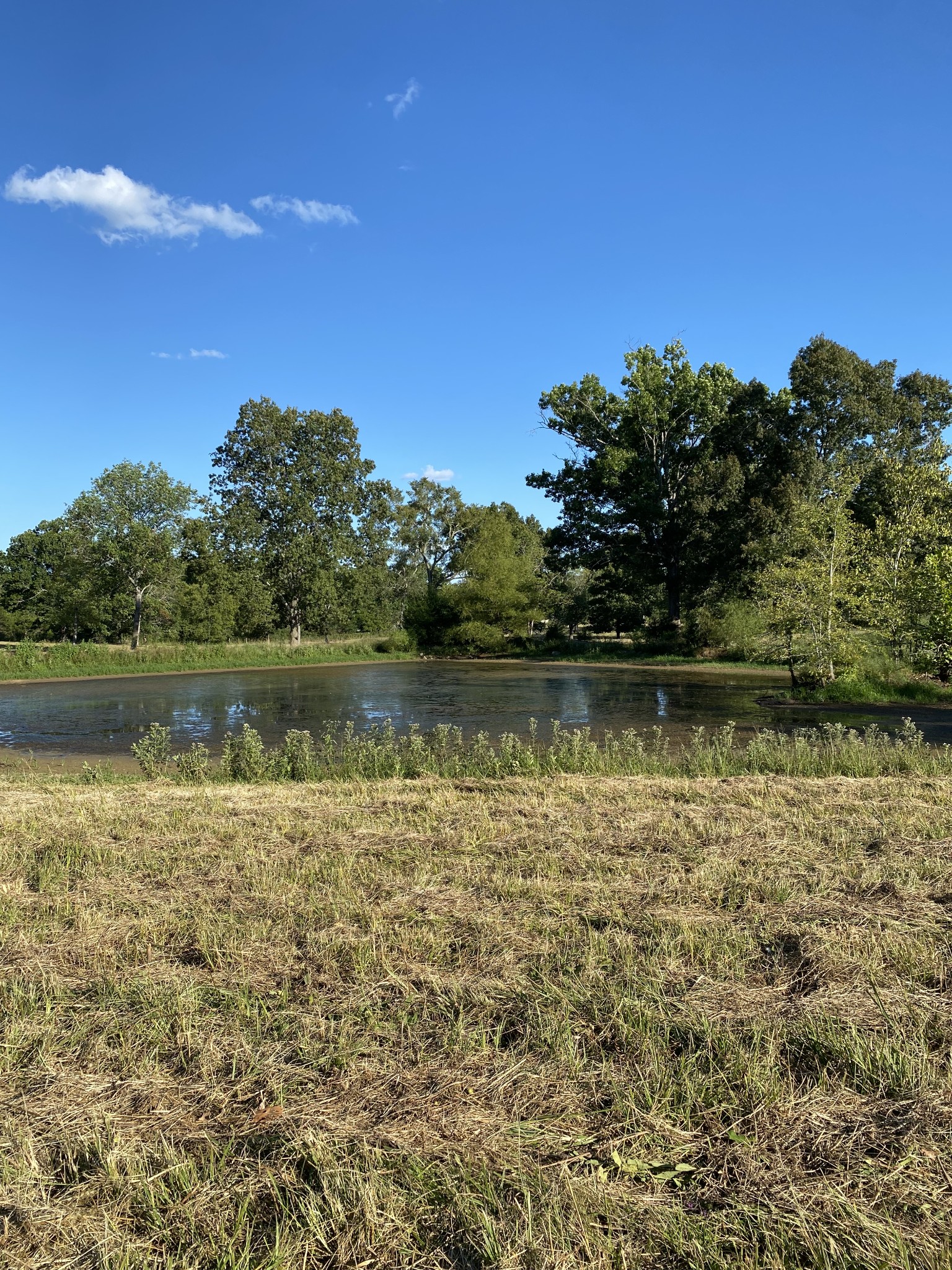 a view of a lake with houses in the background