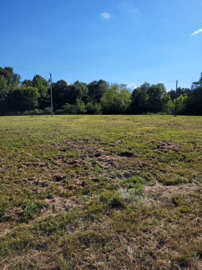 0 Mullins Chapel Road Shelbyville, TN 37160 - Photo 11 of 69