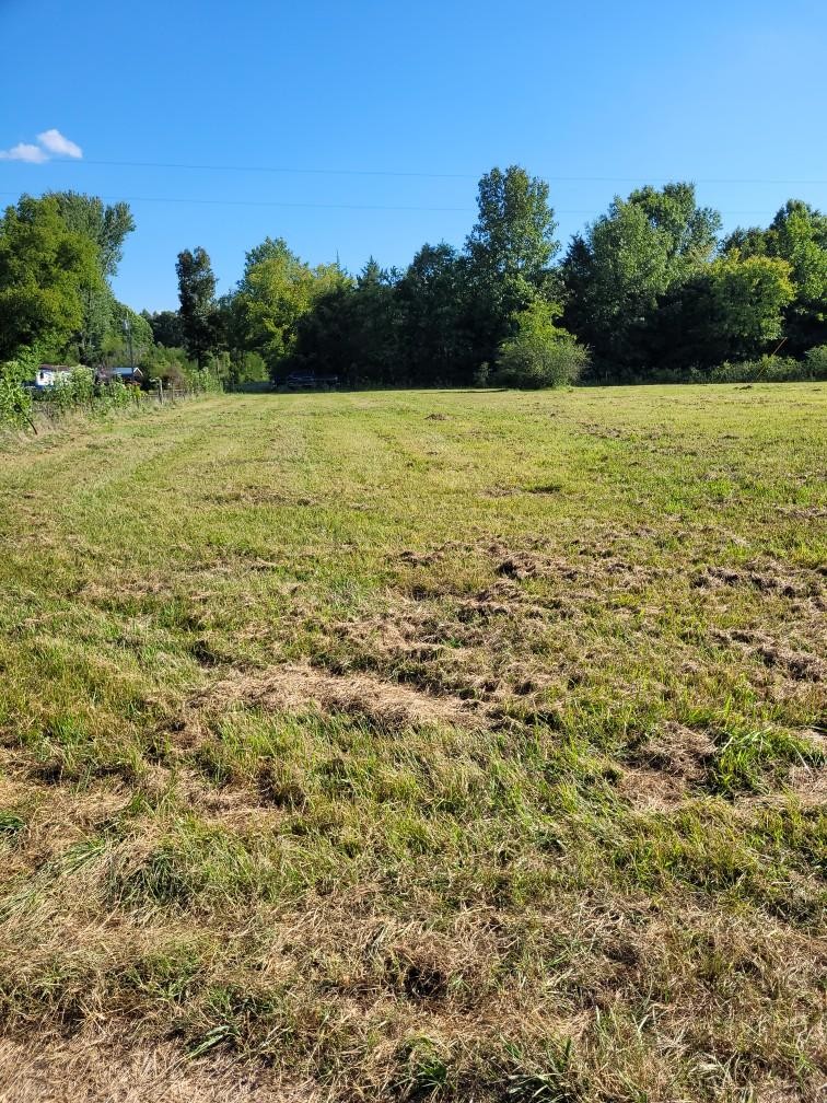 0 Mullins Chapel Road Shelbyville, TN 37160 - Photo 12 of 69 a view of an ocean from a yard