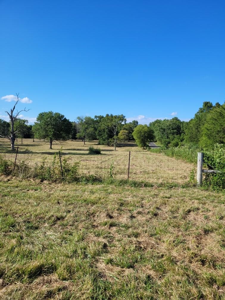 0 Mullins Chapel Road Shelbyville, TN 37160 - Photo 13 of 69 a view of a field with trees in the background