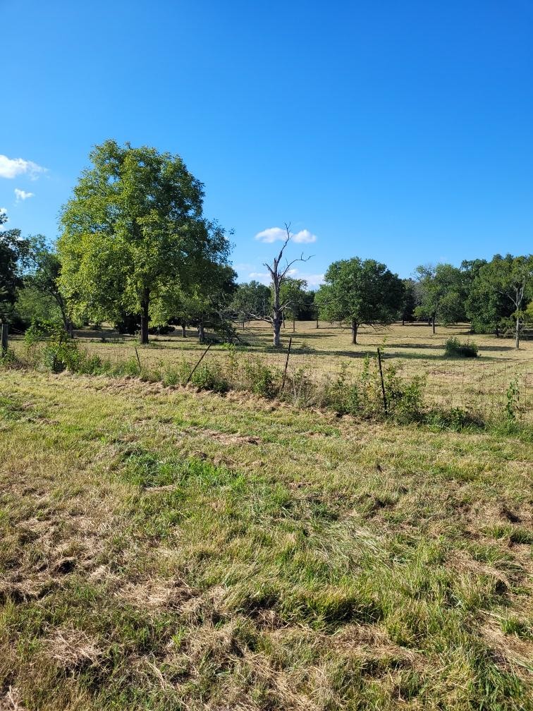 0 Mullins Chapel Road Shelbyville, TN 37160 - Photo 14 of 69 a view of an outdoor space and a yard