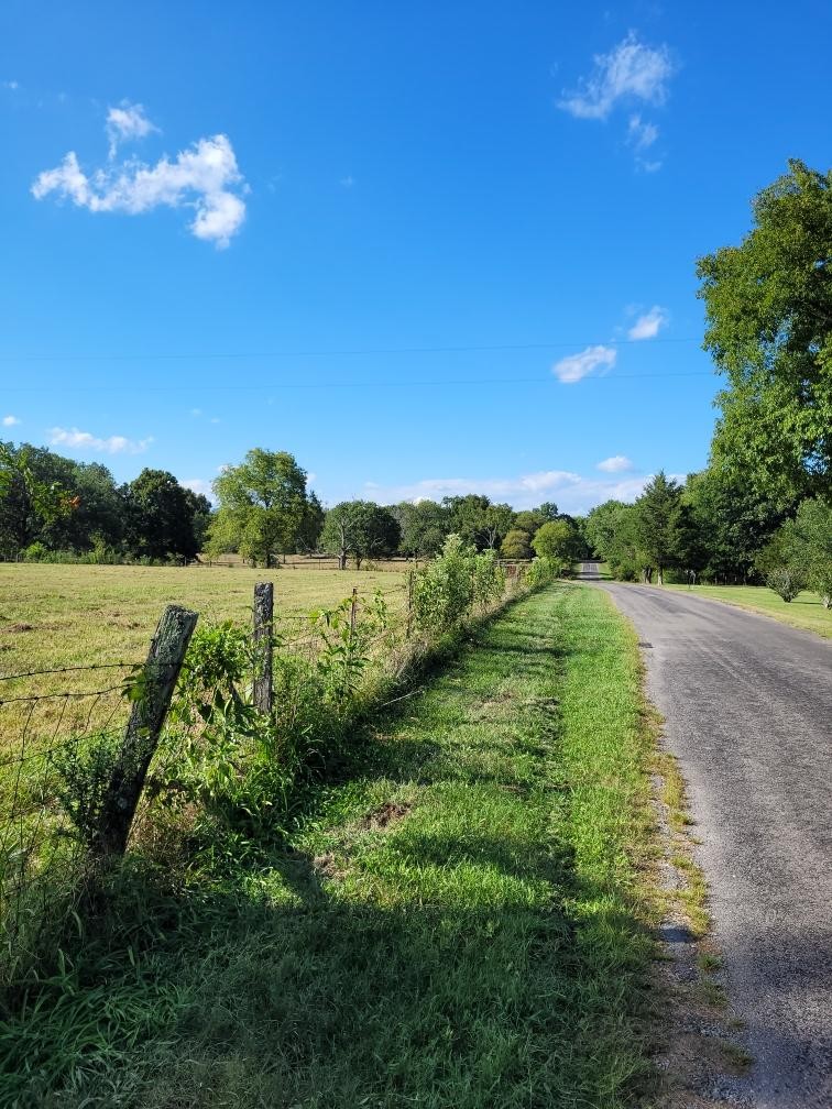 0 Mullins Chapel Road Shelbyville, TN 37160 - Photo 16 of 69