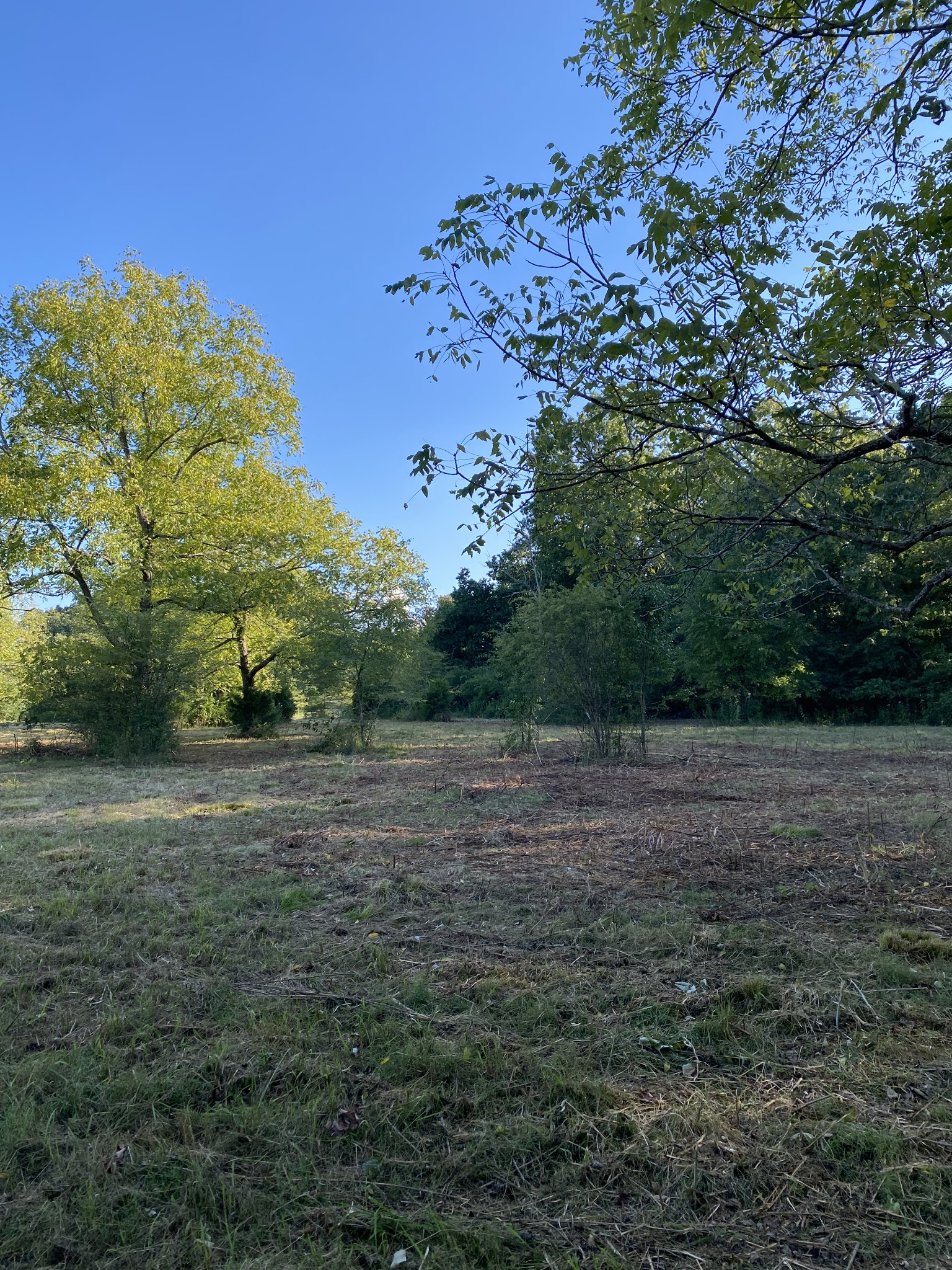 0 Mullins Chapel Road Shelbyville, TN 37160 - Photo 19 of 69 a view of dirt field with trees