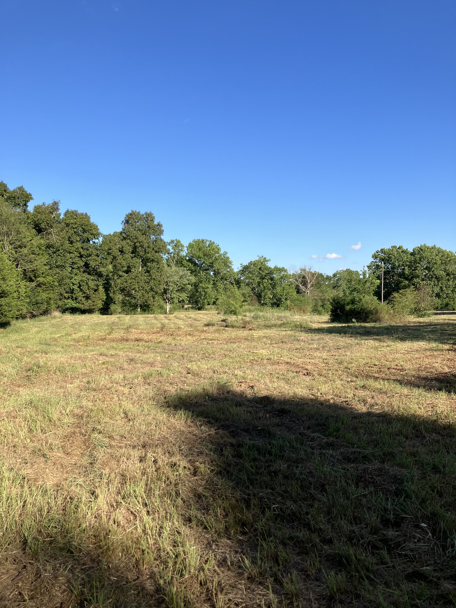 0 Mullins Chapel Road Shelbyville, TN 37160 - Photo 20 of 69 a view of mountain with lake view