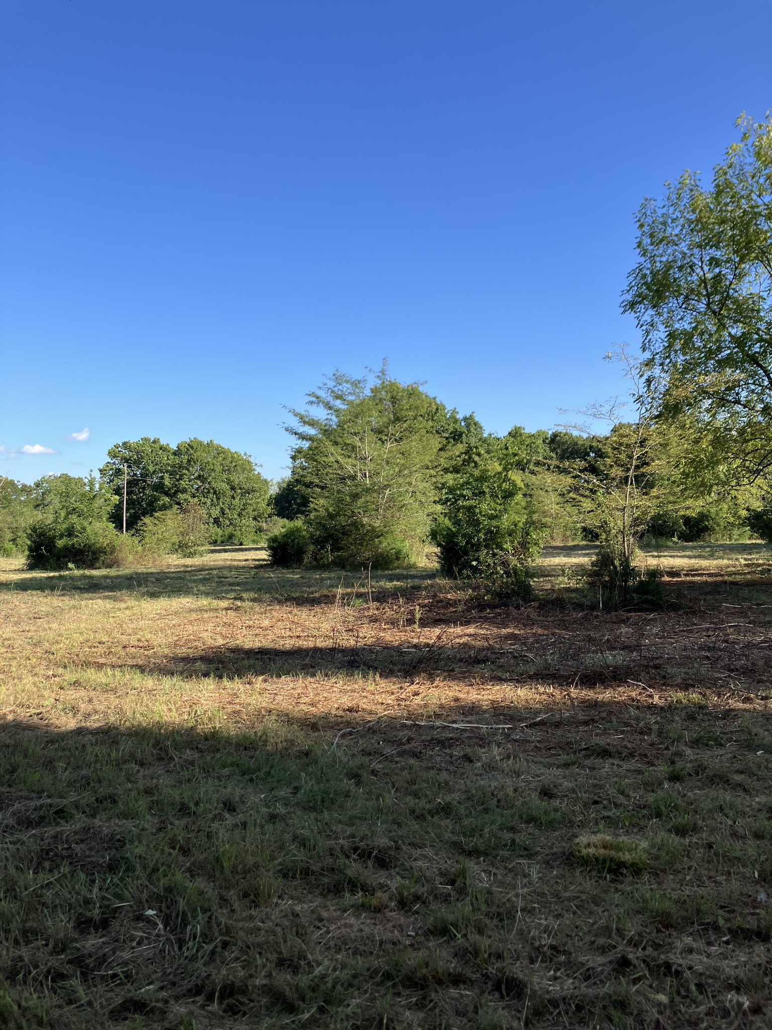 0 Mullins Chapel Road Shelbyville, TN 37160 - Photo 21 of 69 a view of lake view with mountain