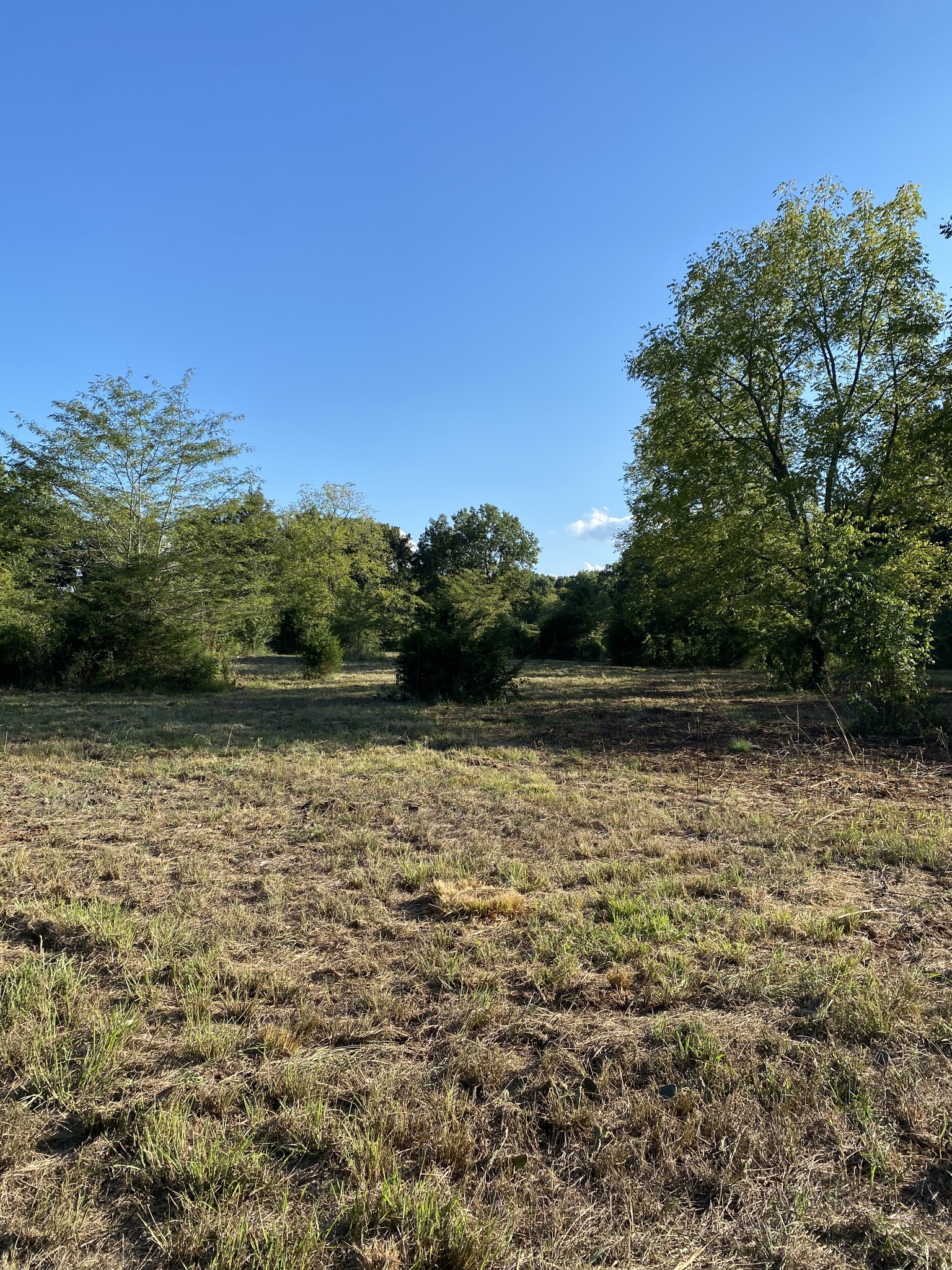 0 Mullins Chapel Road Shelbyville, TN 37160 - Photo 23 of 69