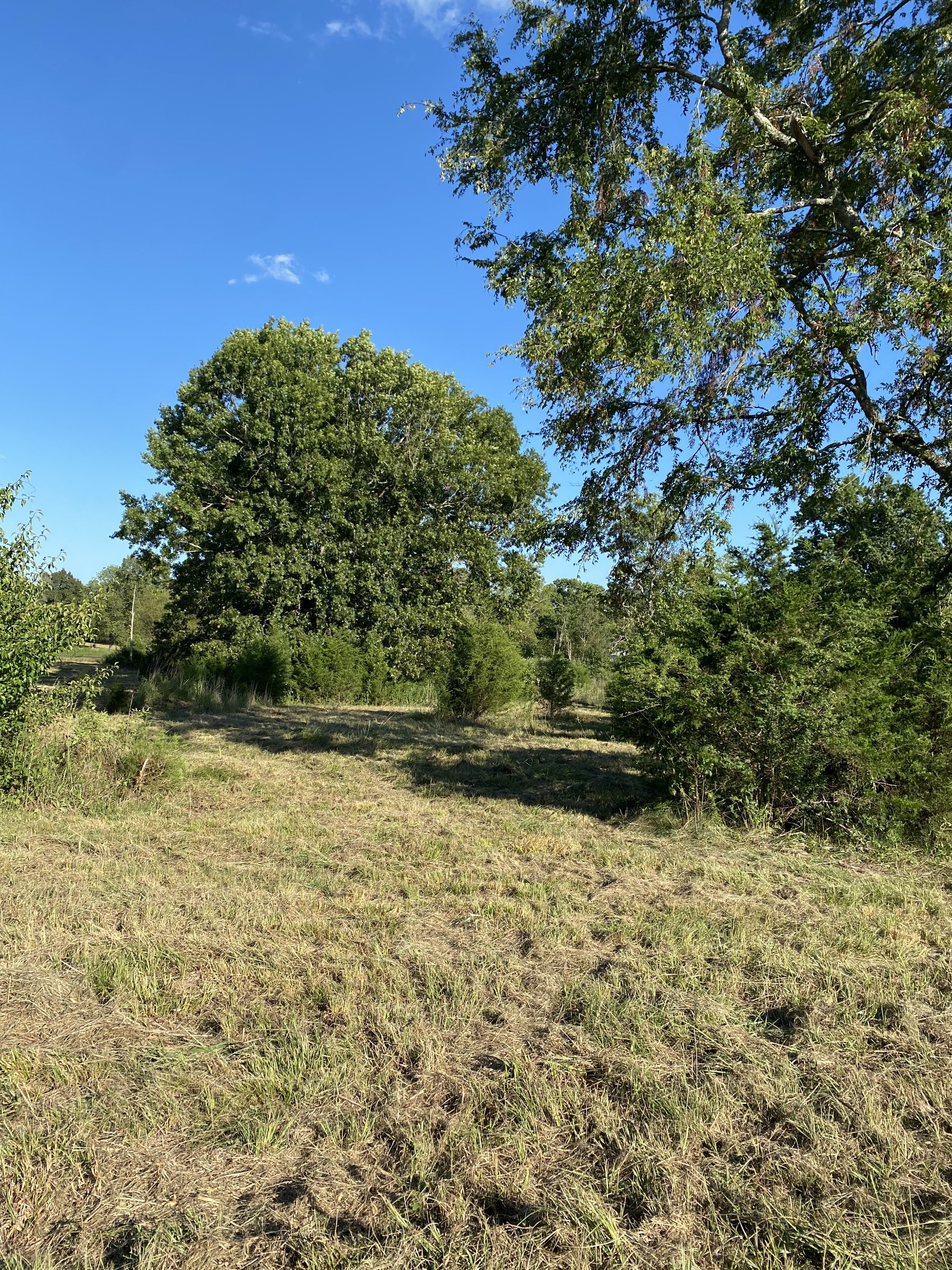 0 Mullins Chapel Road Shelbyville, TN 37160 - Photo 30 of 69