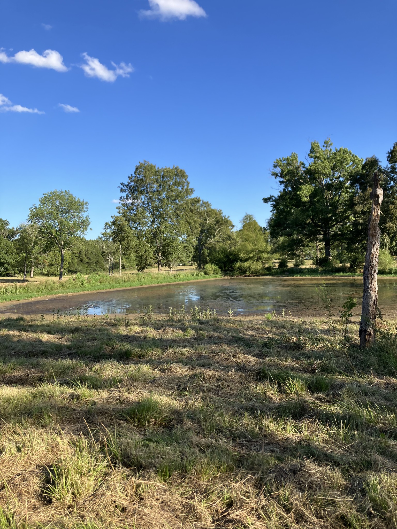 0 Mullins Chapel Road Shelbyville, TN 37160 - Photo 3 of 69 a view of a lake with a yard