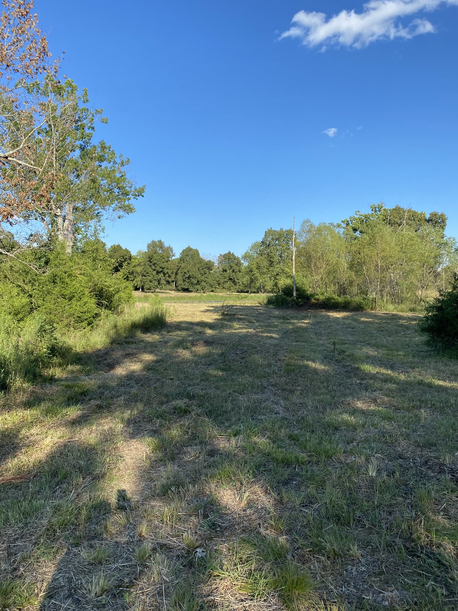 0 Mullins Chapel Road Shelbyville, TN 37160 - Photo 31 of 69