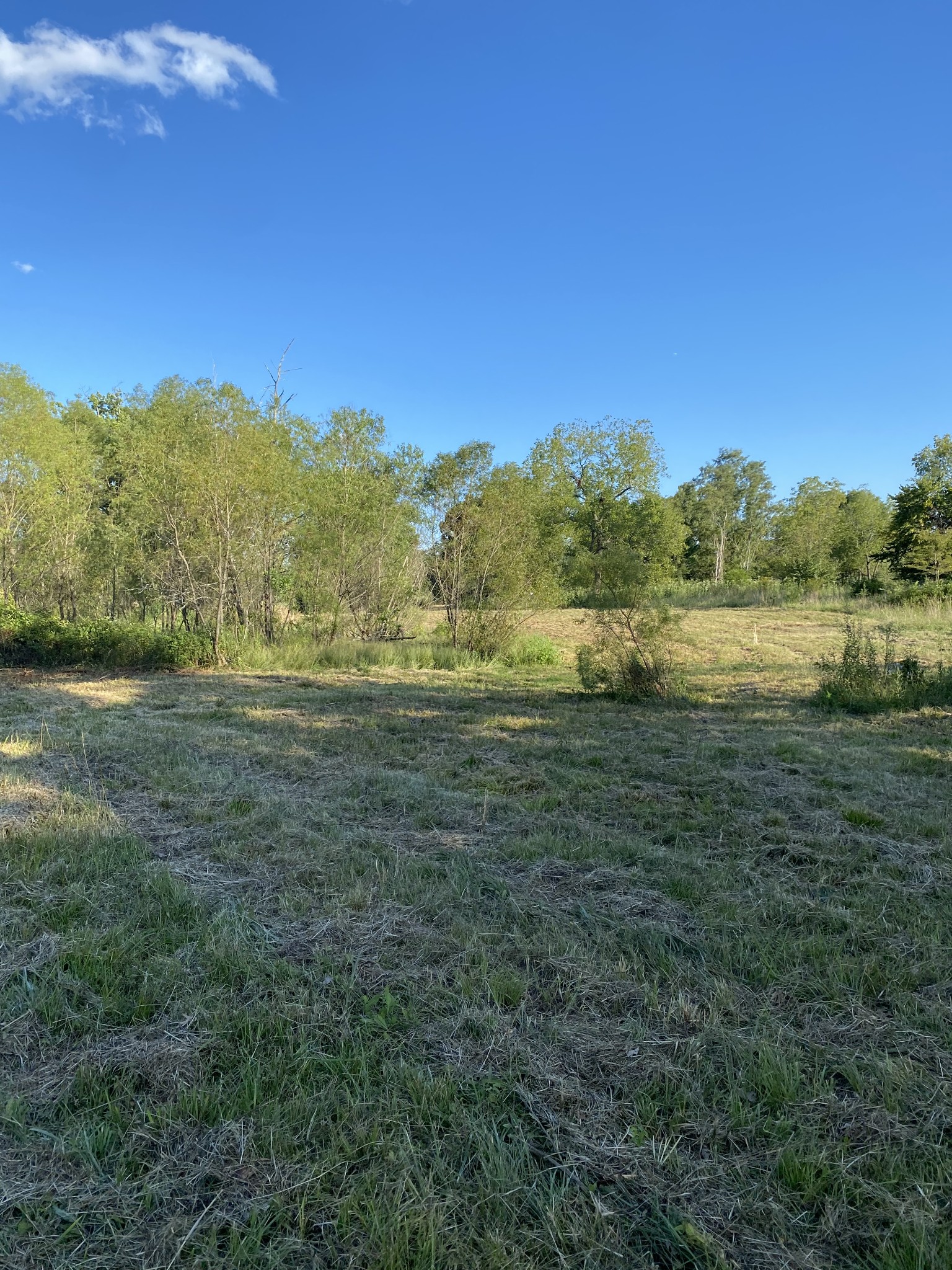 0 Mullins Chapel Road Shelbyville, TN 37160 - Photo 34 of 69 a view of mountain with sunset view