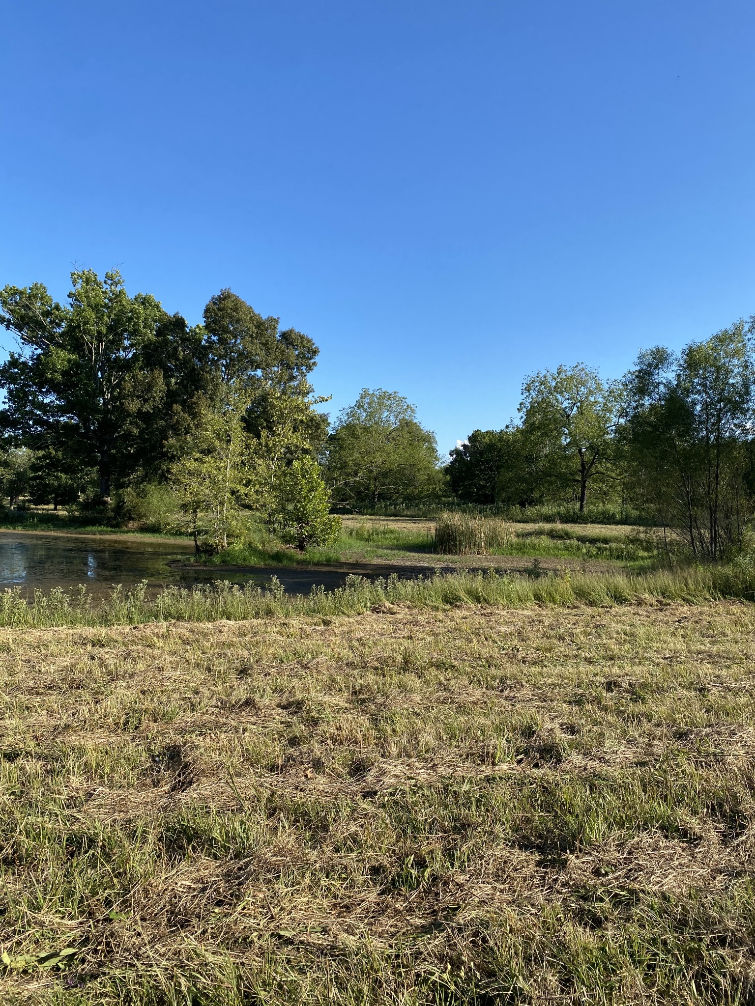 0 Mullins Chapel Road Shelbyville, TN 37160 - Photo 35 of 69 a view of a lake with houses in outdoor space