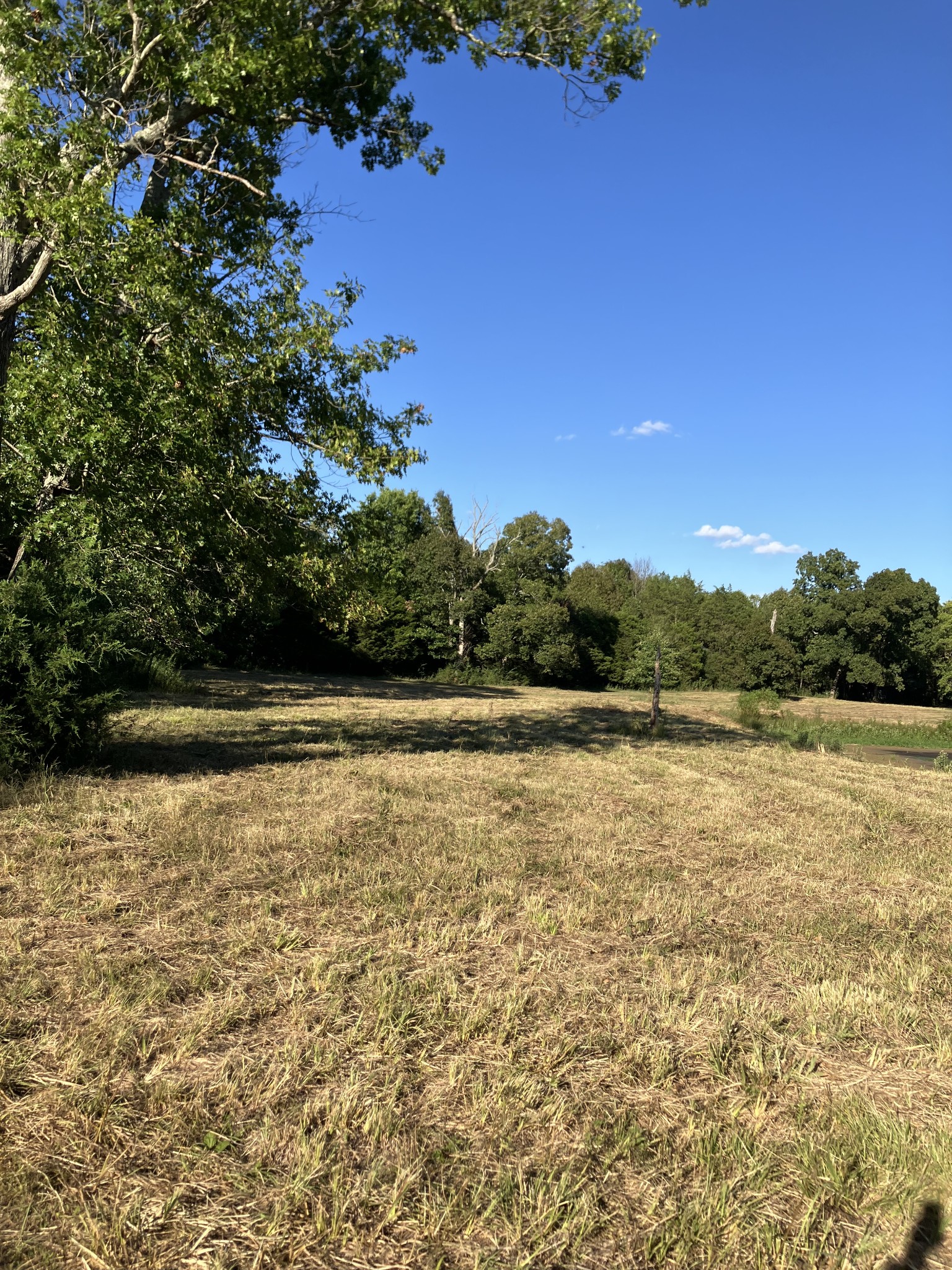 0 Mullins Chapel Road Shelbyville, TN 37160 - Photo 36 of 69 a view of lake view