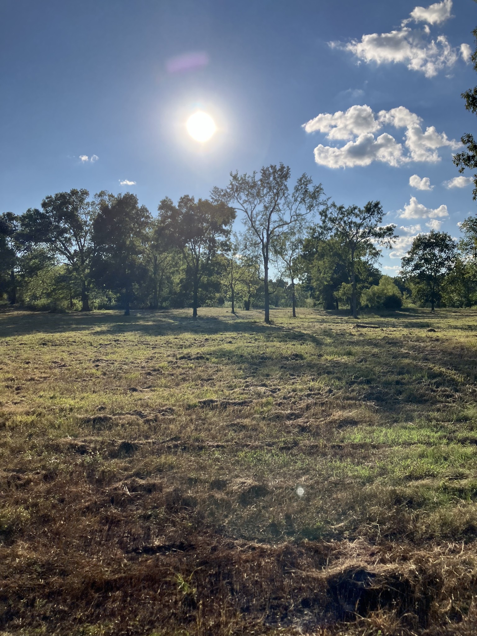 0 Mullins Chapel Road Shelbyville, TN 37160 - Photo 38 of 69