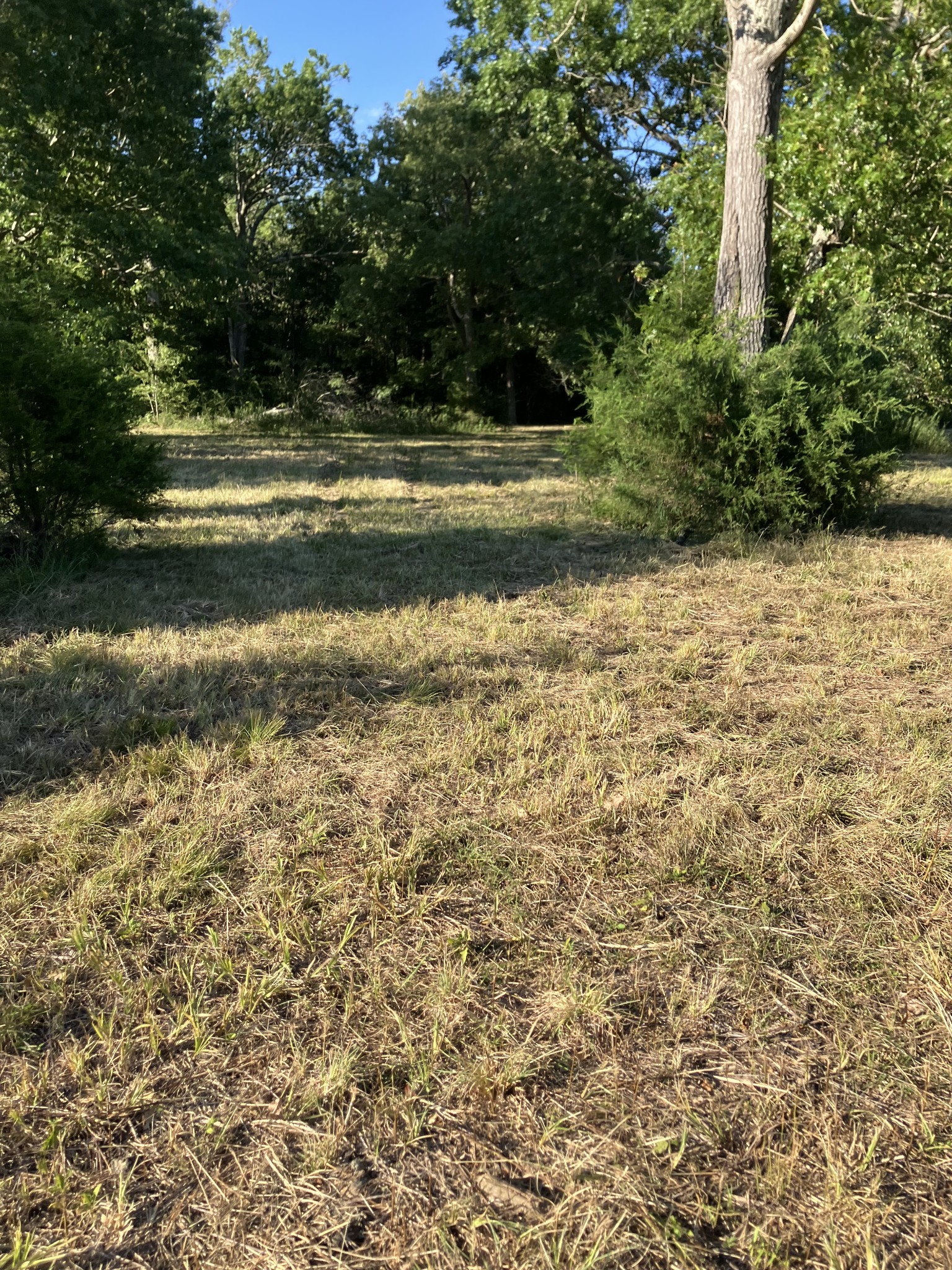 0 Mullins Chapel Road Shelbyville, TN 37160 - Photo 40 of 69 a view of a lake view