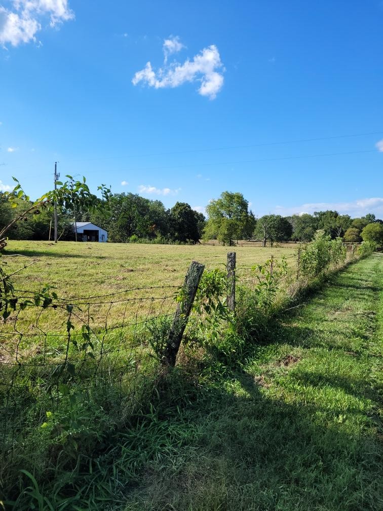 0 Mullins Chapel Road Shelbyville, TN 37160 - Photo 4 of 69 a view of an outdoor space and a yard