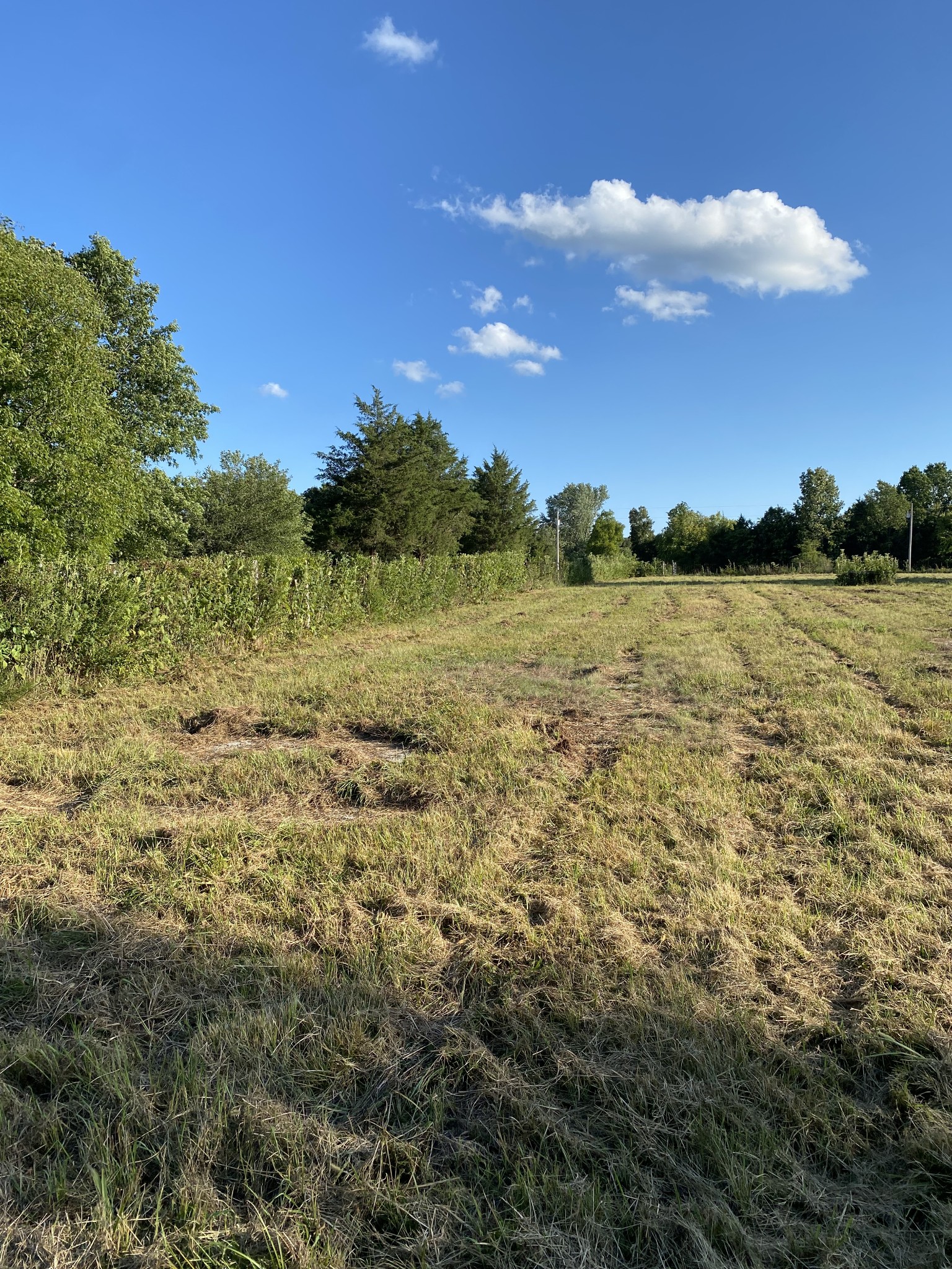 0 Mullins Chapel Road Shelbyville, TN 37160 - Photo 42 of 69